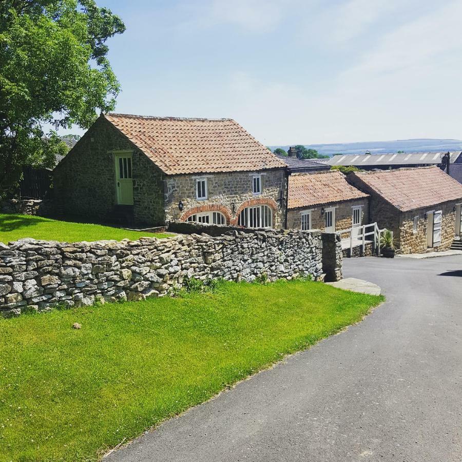 Prospect Farm Cottages Allerston Exterior photo